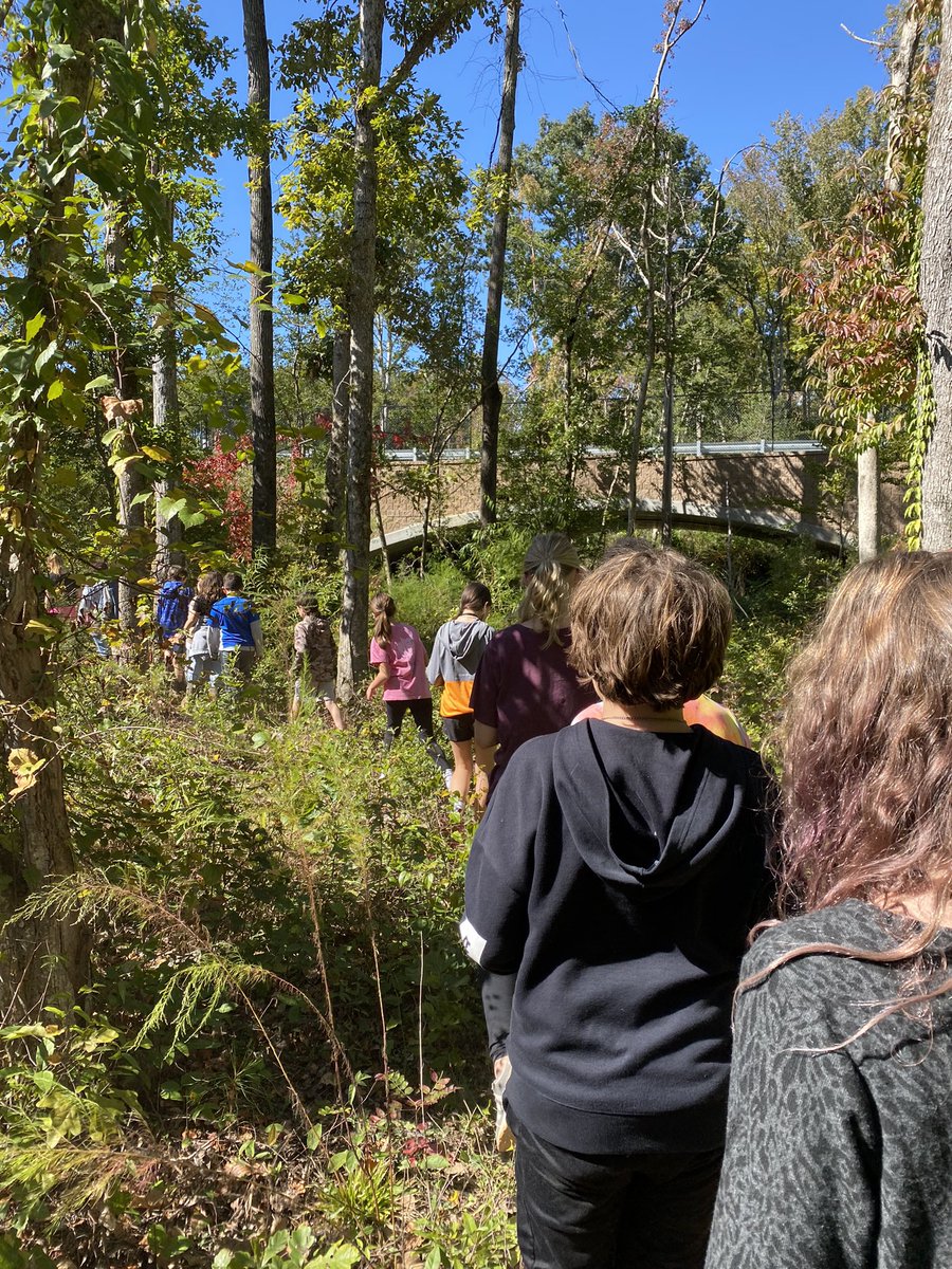 EarthLms's tweet photo. When youβve got a great wildlife corridor on campus there is so much you can do with native plants and forestry. Really excited to start native plant ID unit with students and have a Clemson Master Gardener work with our students next week! #agclass https://t.co/Q9UtlowFHq