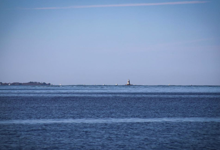 SaveTheBayRI's tweet photo. 🚨 Spots available on our Saturday Seal Tour &amp; Nature Cruise out of Westerly! https://t.co/gcxItLazLp

Take a 90-minute scenic ride down the Pawcatuck River into Little Narragansett Bay for the peaceful views of gorgeous fall foliage and a glimpse of our earliest winter visitors. https://t.co/dnQMXpVUcT