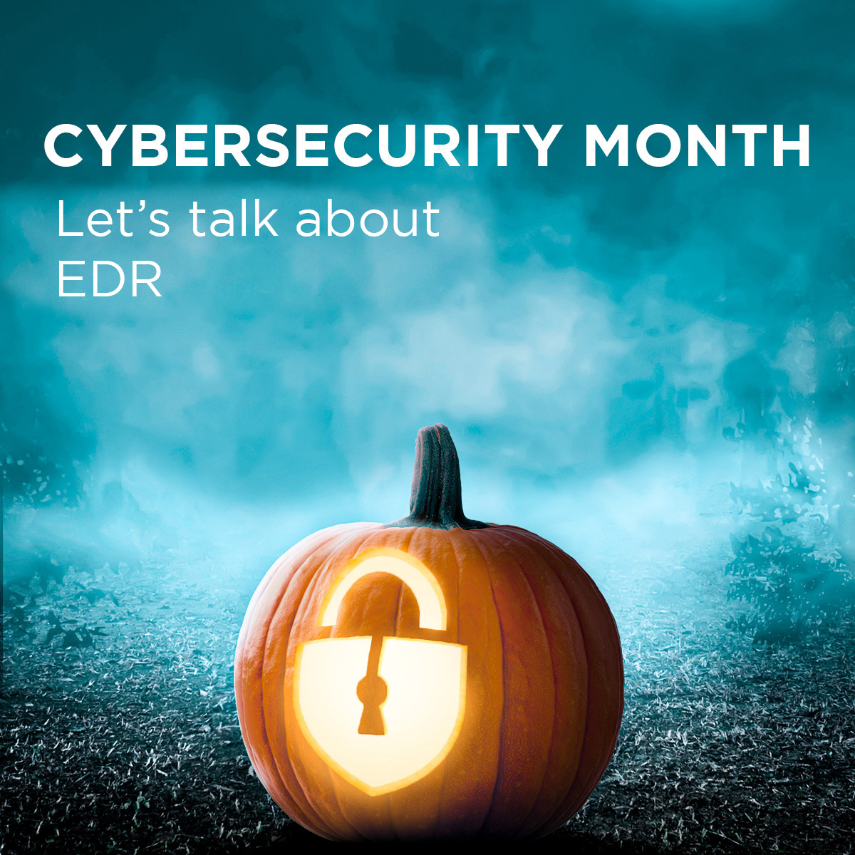 EDR is an important technology aimed at keeping organizations protected from cyberthreats.  In this article, our VP of Cybersecurity, Scott Seaborn, breaks down how this technology will impact your organization.

Learn more here: conta.cc/3Vo5EwM