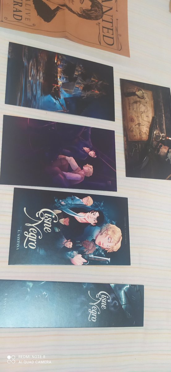 Rayraykym's tweet photo. Posso dizer com muita alegria que meu cisne negro chegou em minhas mãos. Obrigada a @EUPHORIAEDITORA por fazer isso acontecer, esse livro me salvou quando mais precisava e tive que me dar de presente quando abriu a pré venda e por destino chegou dias depois de meu aniversário. https://t.co/IkMhMs5DiR