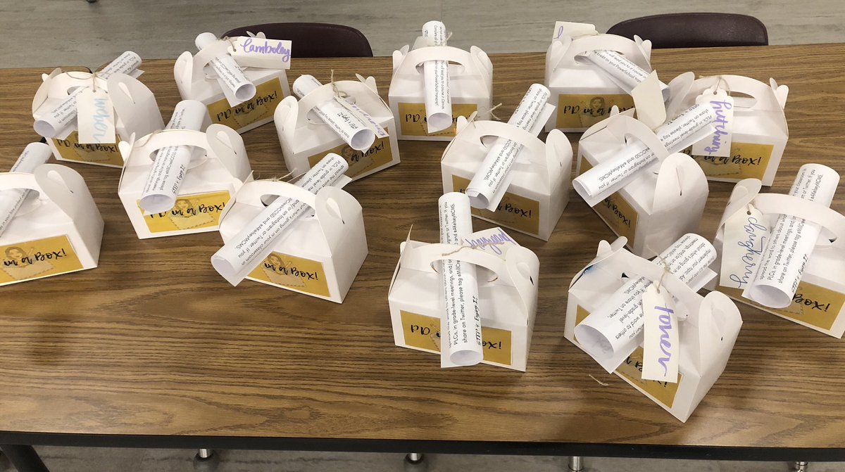 Ashley Kelsey tweet media