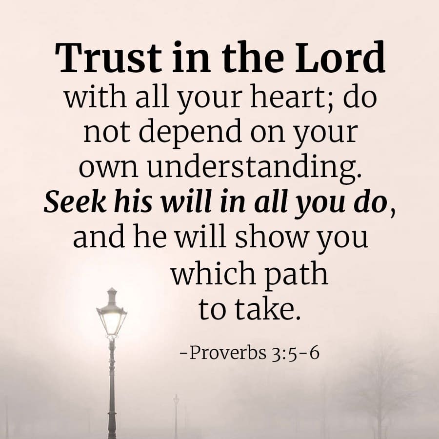 ZCC_America's tweet image. 