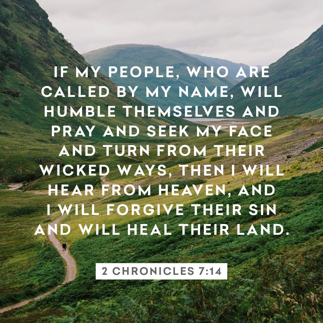 ZCC_America's tweet image. 