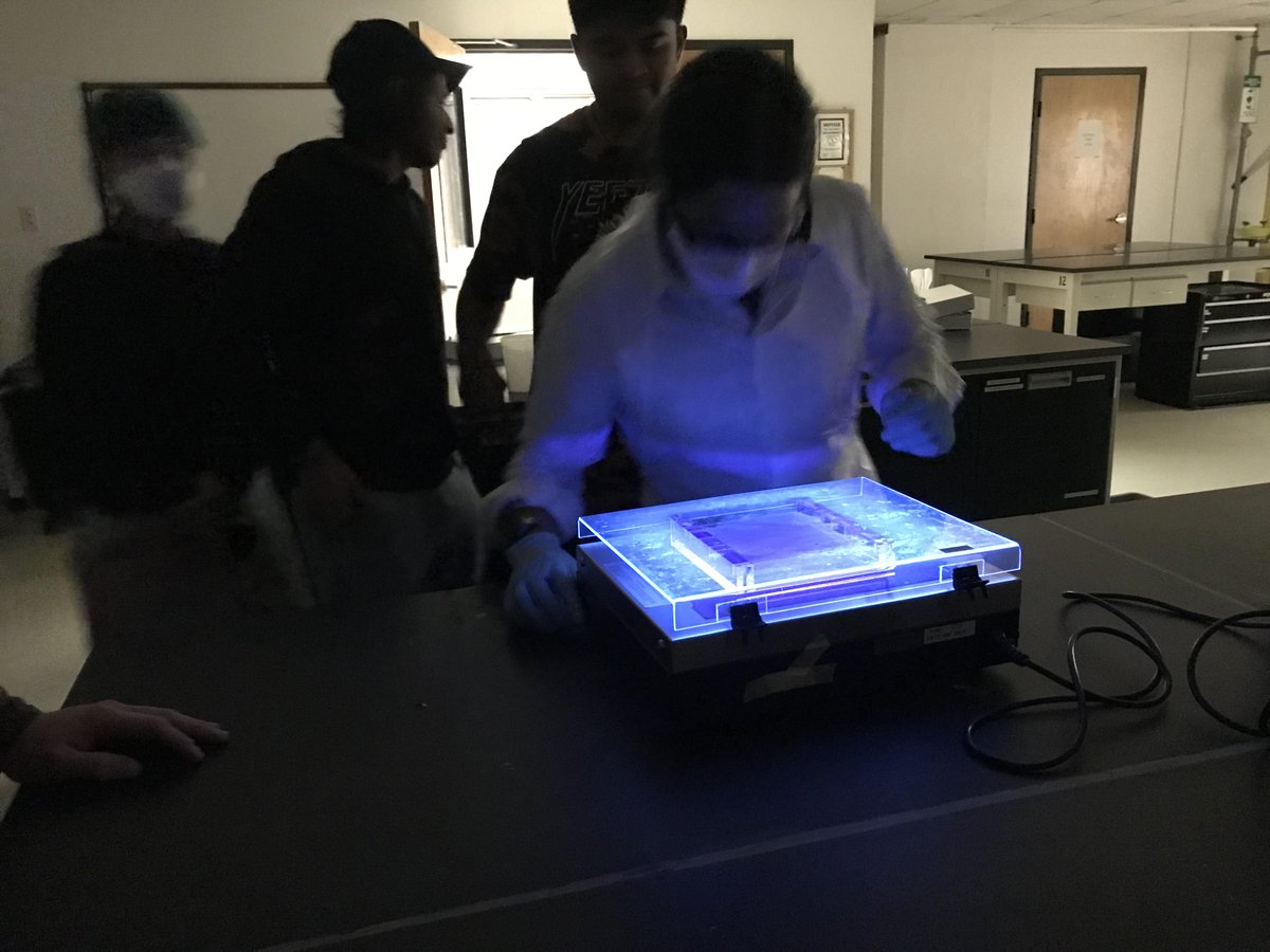 In their Synthetic Biology class taught by <a href="/RClayWright/">Clay Wright</a>, BSE students Shashwat Dhanuka, John Bailey, Lili Marie Zebluim, and Hajar Chokhmane prepped samples for Gel Electrophoresis, a lab method used to separate mixtures of DNA, RNA, or proteins according to molecular size. 🧑‍🔬