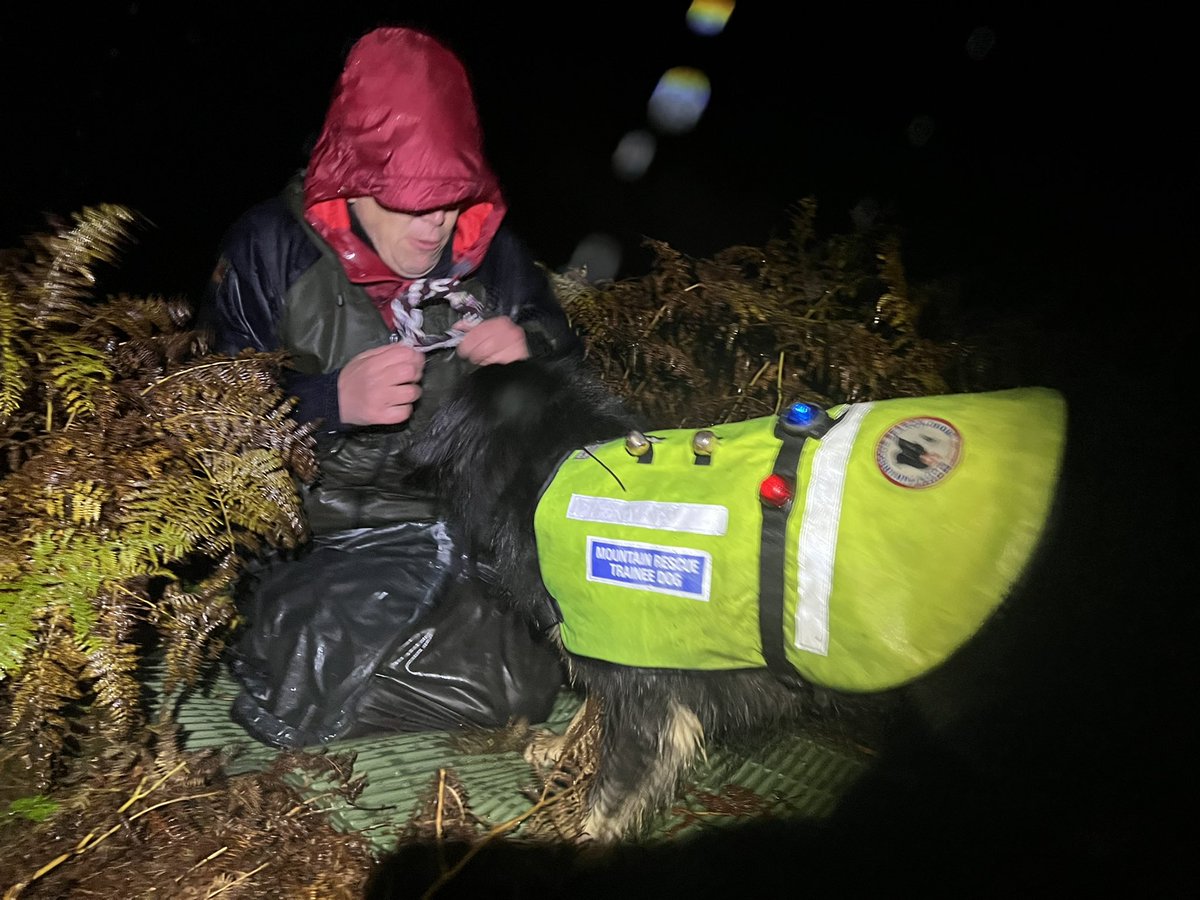 DogBramble's tweet photo. One wet wet night to be out hunting for hoooman friends to find and play with - thank you to the #amazing #dogsbody #volunteers for braving the rain. @NNPMRT @MRSearchDogsEng #dogtraining #mountaindog #searchdog https://t.co/zxuSd5dlch