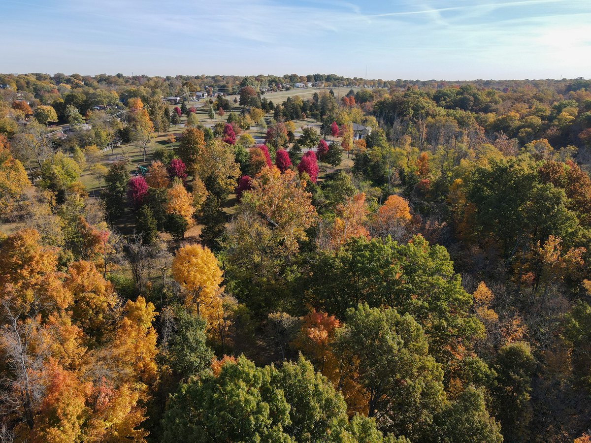 westchestertwp's tweet photo. Fall colors from Keehner Park #OhioFall22 #FallOhio22 #WestChesterOH #BestPlacestoLive https://t.co/AzVb979IrA
