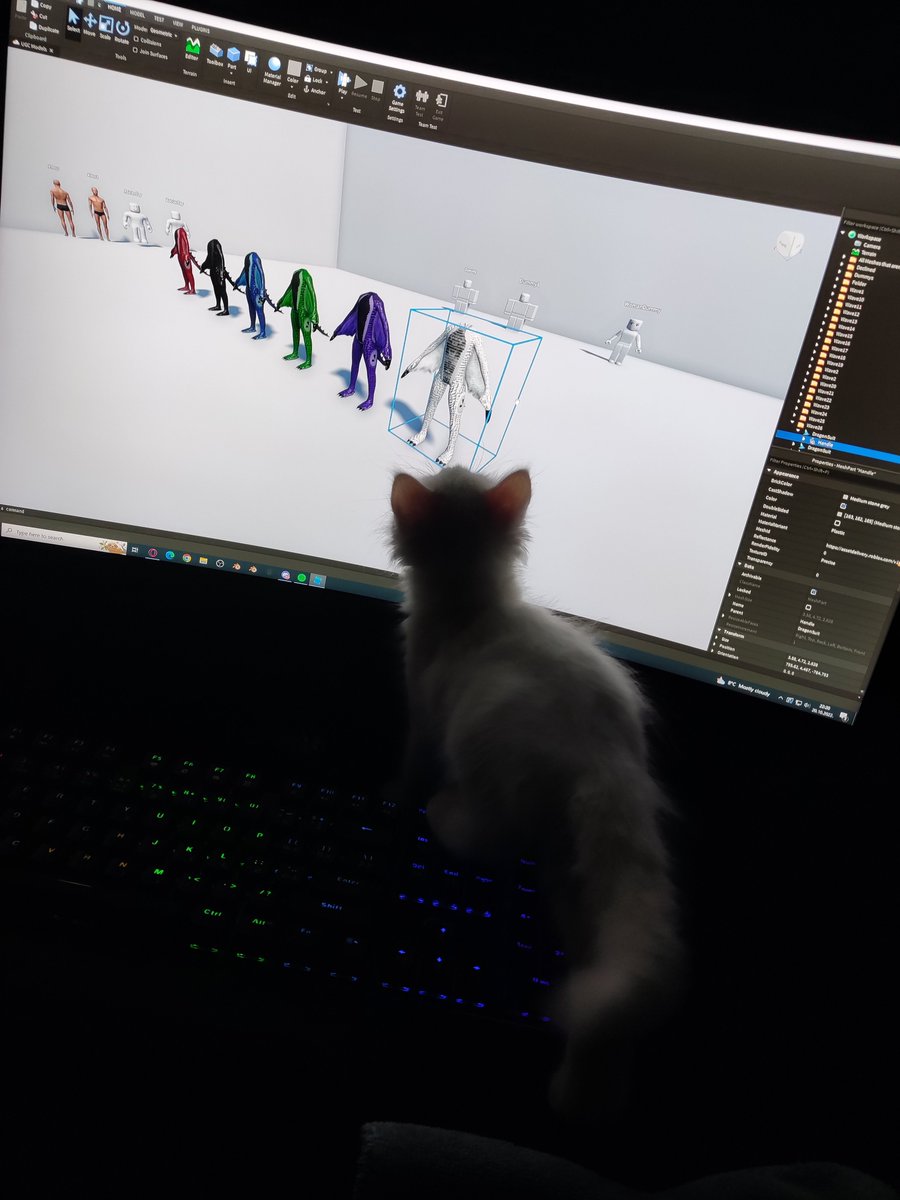 SpaceWaCe tweet media