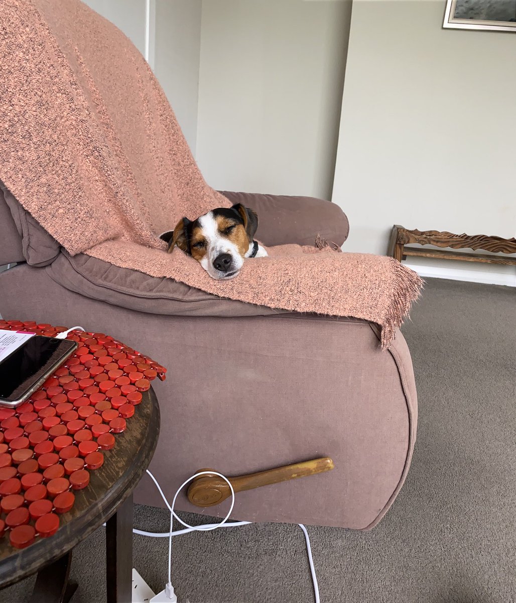 Gus in Time tweet media