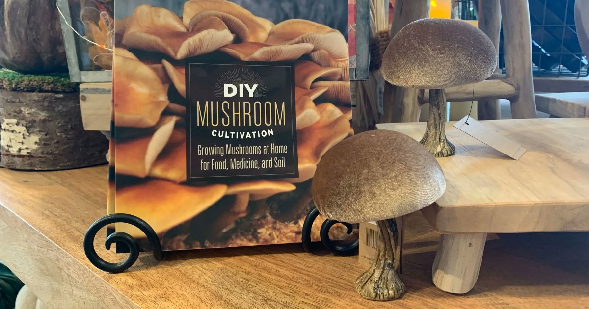 Alongside these adorable plush mushrooms, learn how to cultivate your own mushrooms at home! Pick up this helpful book today at the Shop at Phipps! This item is available for in-store shopping only. For more about the shop, please visit : phipps.conservatory.org/visit-and-expl…