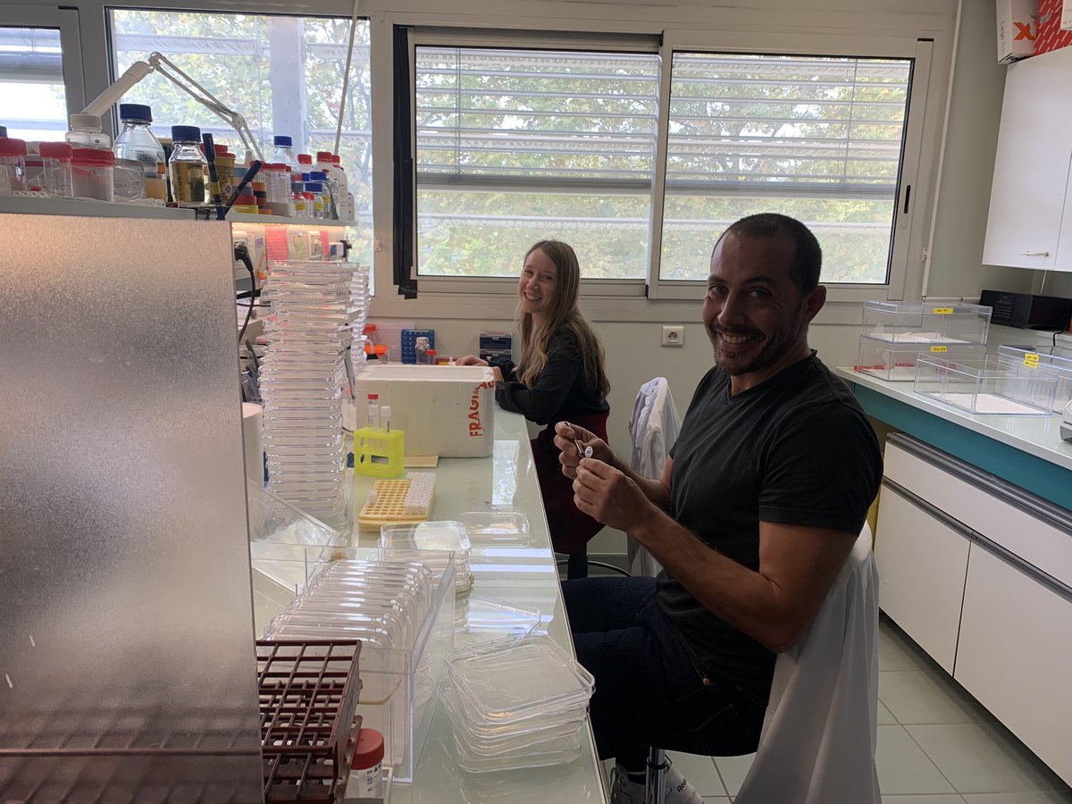 Sandrine Ruffel tweet media