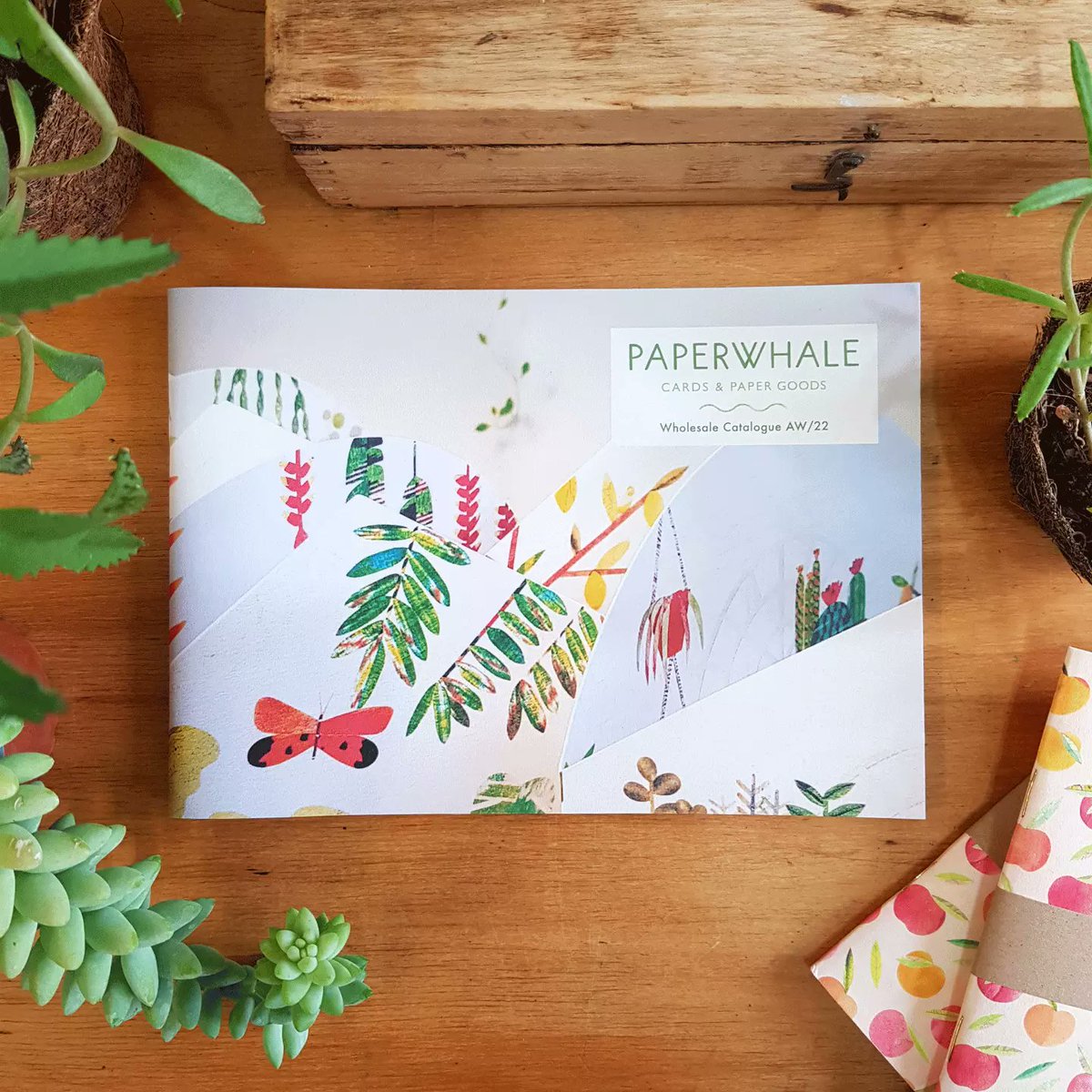 Our brand new wholesale catalogue will be heading out to stockists over the next few weeks. You'll be able to browse through all our cards, notebooks &amp; prints easily all in one place. If you're new to stocking Paperwhale or you'd like a copy sent out soon get in touch 👋🍃