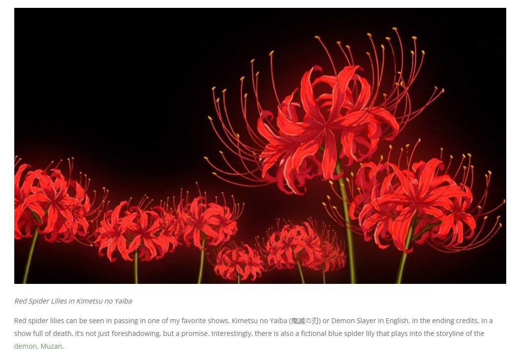 Chinese Ink Painting Art Background Plant Elegant Flower Lycorisradiata  Chinese Translation Plant And Blessing Stock Illustration - Download Image  Now - iStock