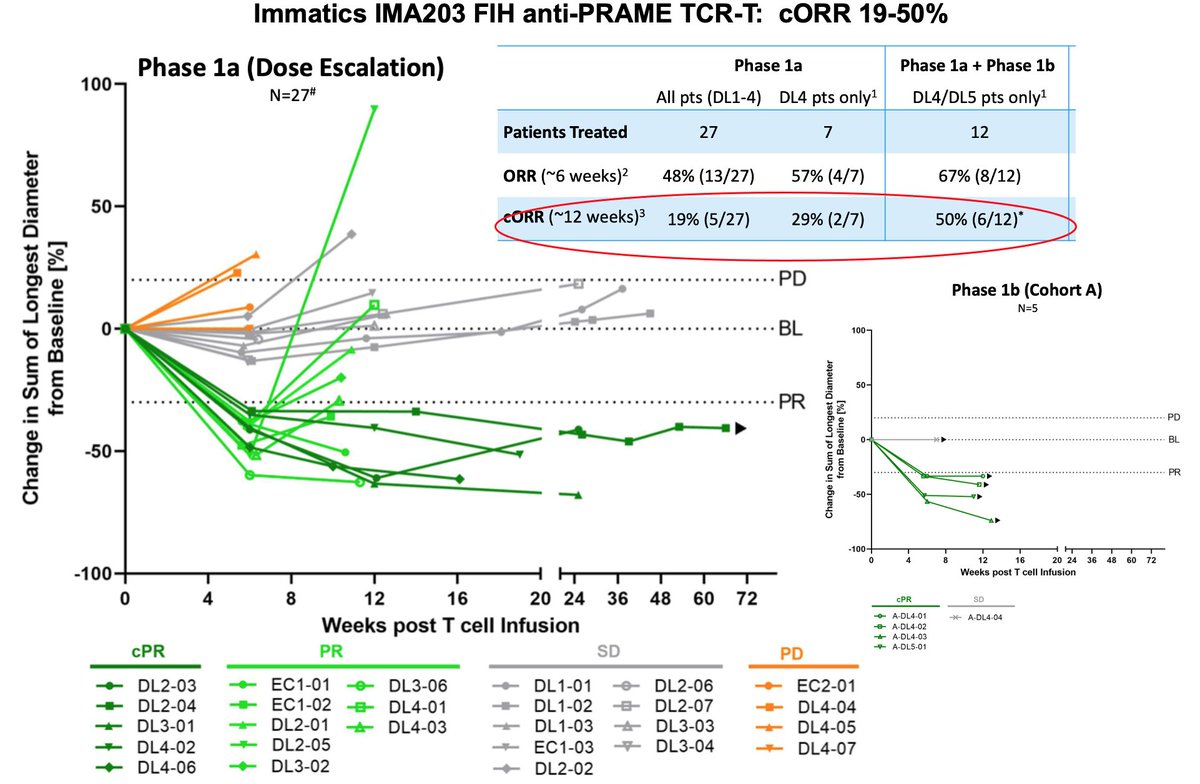 RubikTx's tweet photo. More + data for solid tumor cell tx @immatics IMA203 anti-PRAME TCR-T:  19-50% cORR (↑dose ↑ORR). 13/32 are melanoma pts, curious about ORR after checkpoint Rx, expect common mechanisms of resistance https://t.co/aKJTiLYnpi