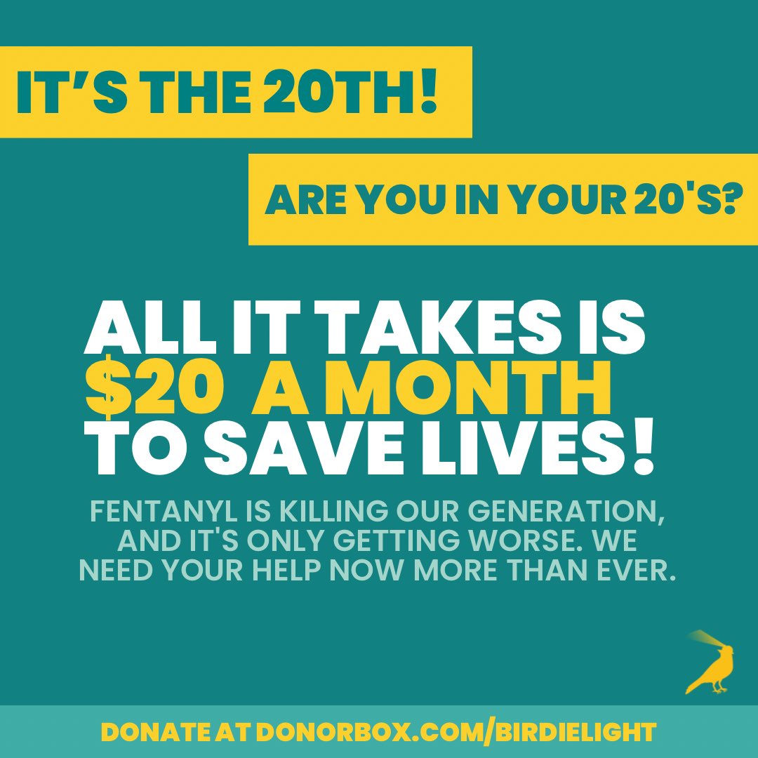 Calling all young people in their 20’s. The fentanyl epidemic has taken countless young promising lives from our generation and it is not showing any signs of slowing down. It is time that we protect our peers from the dangers of fentanyl. Donate today at donorbox.com/birdielight.