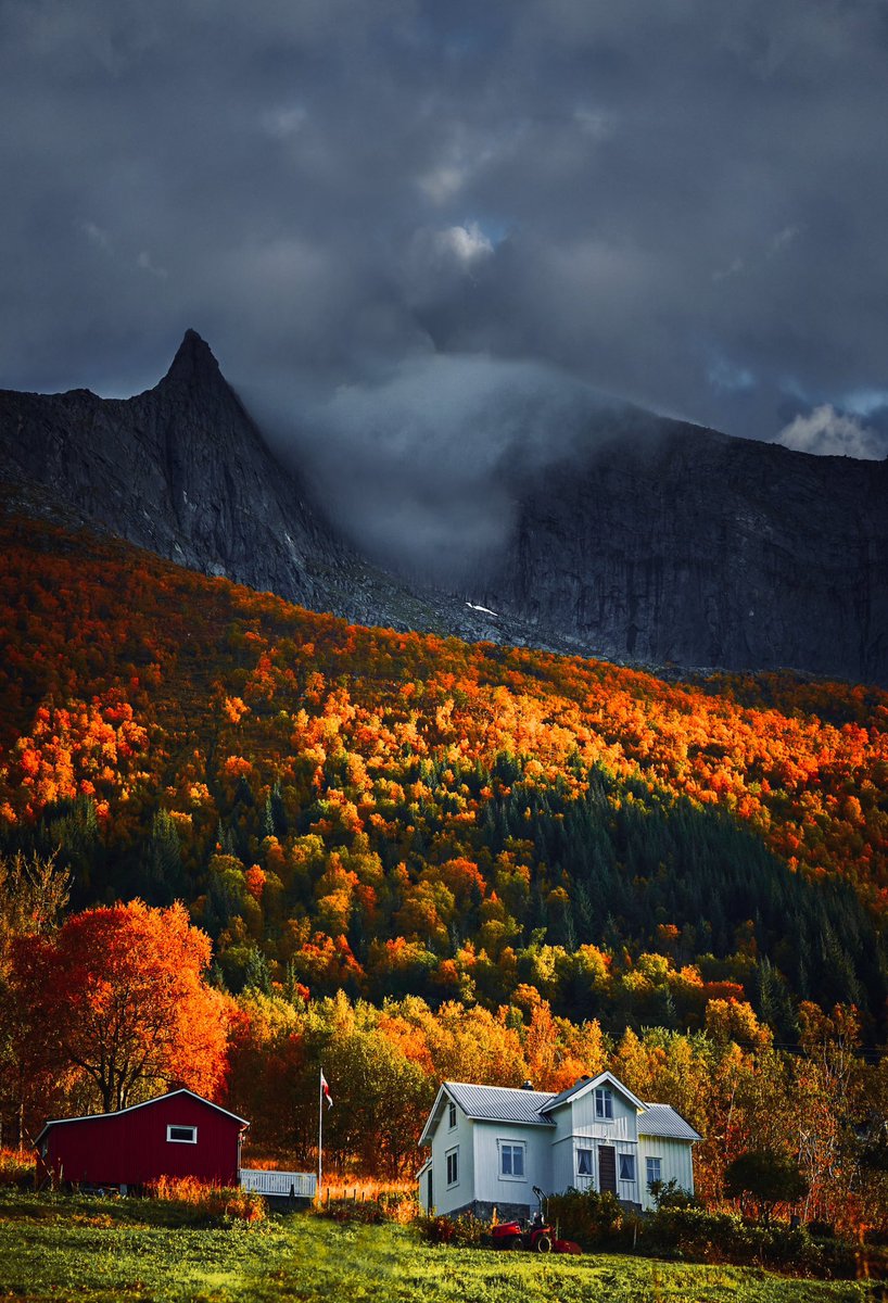 BrunIsak's tweet photo. @BraydenCreation Living with giants in autumn clothing🍂⛰️✨ https://t.co/wlEZ2ZFTGB