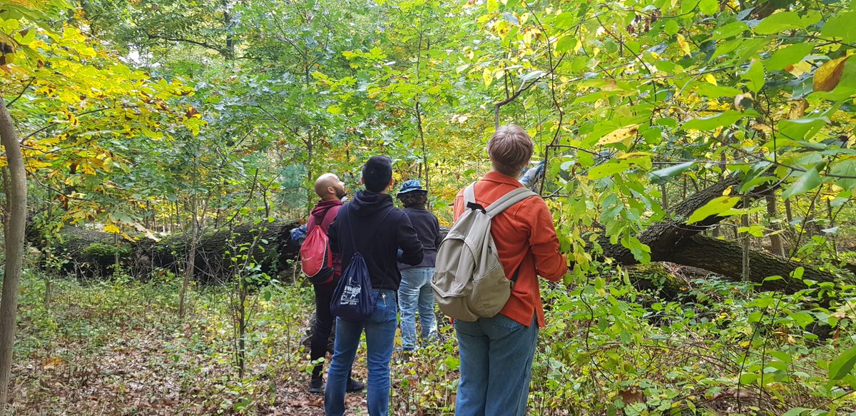BronxInk's tweet photo. Volunteers remove invasive species in Van Cortlandt Park. The park contains 86.2 acres that are protected, which is 88% of all protected wetland acres in the Bronx. @babstolk reports. 

https://t.co/yGBlblmaZd https://t.co/UuDwCPc44O
