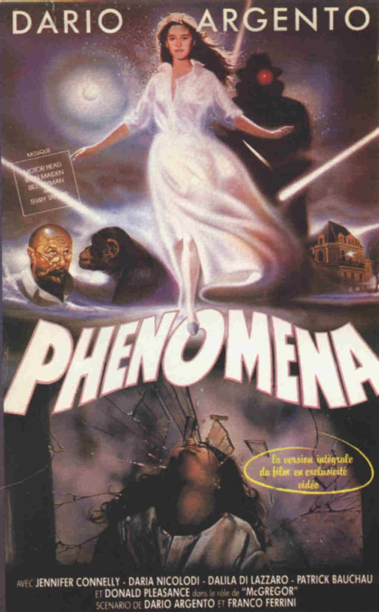 SofyeLafee's tweet photo. @NetflixFR PHENOMENA 
Un chef d'œuvre, frissons garantis🎃 https://t.co/5b32XsGnjw
