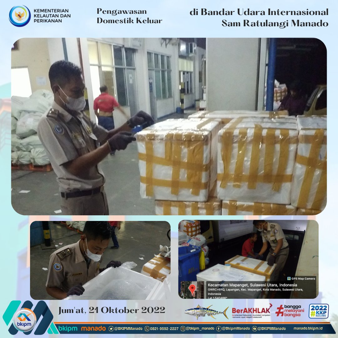 BPPMHKP_Manado's tweet photo. Hi... sahabat twett
21/10/22 Petugas melakukan pemeriksaan calon induk ikan mas 500 ekor 30 Box dg tujuan Makasar yang akan di lalulintaskan melalui Cargo Bandara Sam Ratulangi Manado 
#KKPAccelerate 
#KKPGOID 
@bkipm_kkp 
@BKIPMManado
@Muhlin21 
@pondaag_vera https://t.co/Kt5dhaPi2y