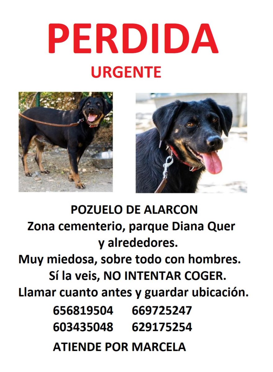 MatiCubilloG's tweet photo. 🆘️🆘️🆘️🆘️🆘️🆘️🆘️
Ayudar a difundir 🙏 https://t.co/fPr1pSJPcS
