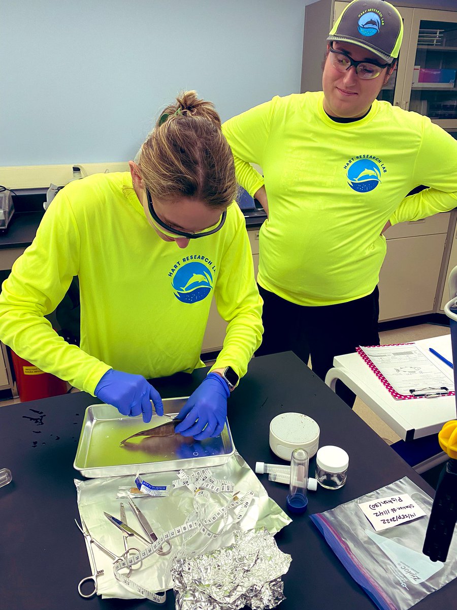 BurdettHart's tweet photo. Teamwork makes the dream work for the #HartLab at #cofc. https://t.co/7Su4QhntmB