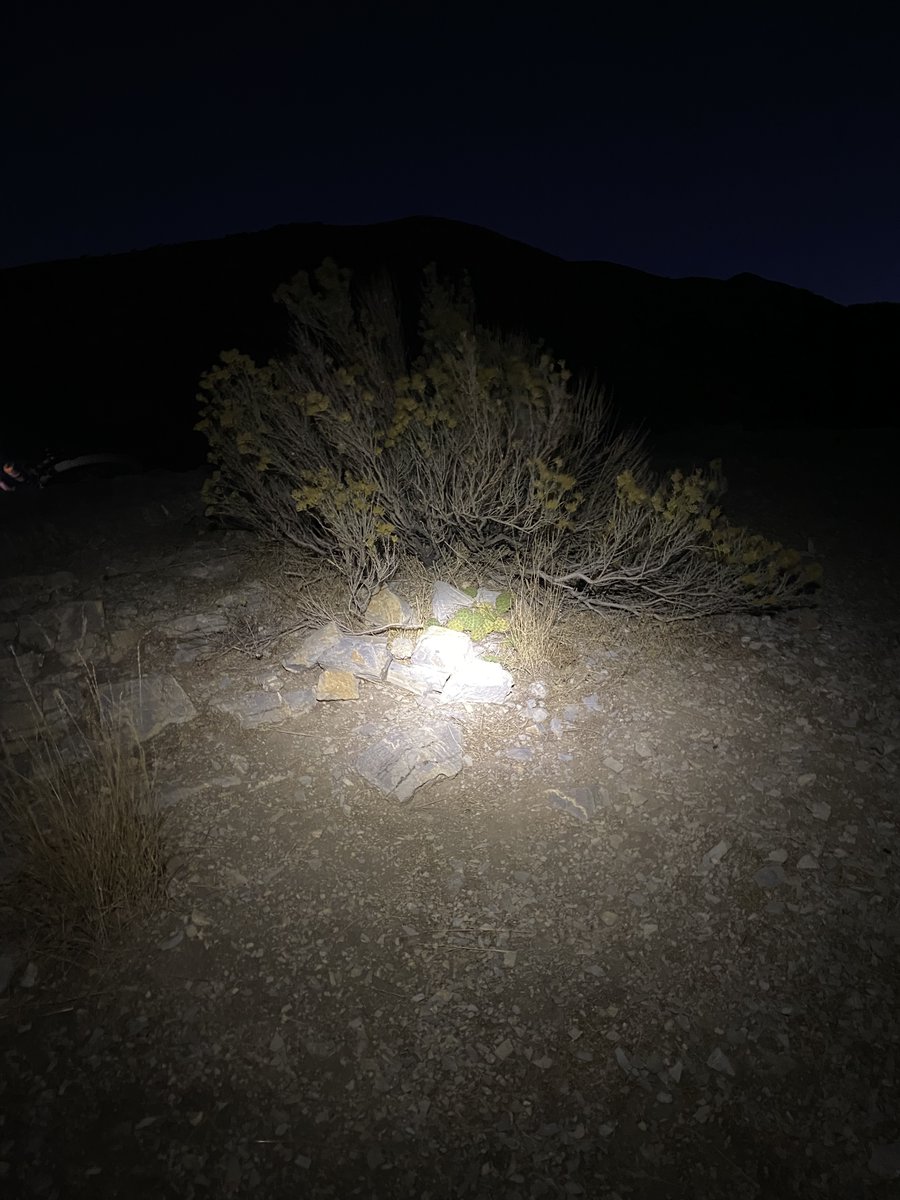 Samuel Brown tweet media