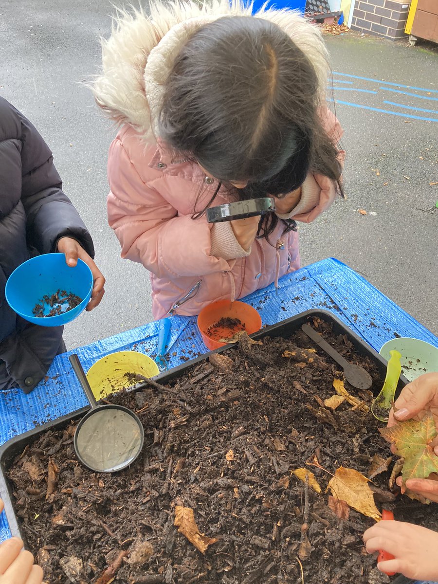 WlpsYear2's tweet image. 2H learned lots about how worms play a huge role in our environment. #environmentalexperts #wormfarm #getmucky #wigglewiggle