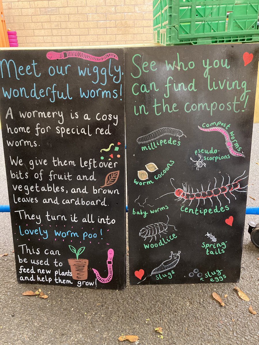 WlpsYear2's tweet image. 2H learned lots about how worms play a huge role in our environment. #environmentalexperts #wormfarm #getmucky #wigglewiggle