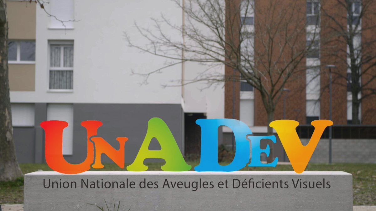 cashinvestigati's tweet image. #CashInvestigation Voici le rapport de la @Courdescomptes dans lequel on découvre que moins de 50% des dons versés à l’UNADEV parviennent vraiment jusqu’aux bénéficiaires mal-voyants :
ccomptes.fr/sites/default/…