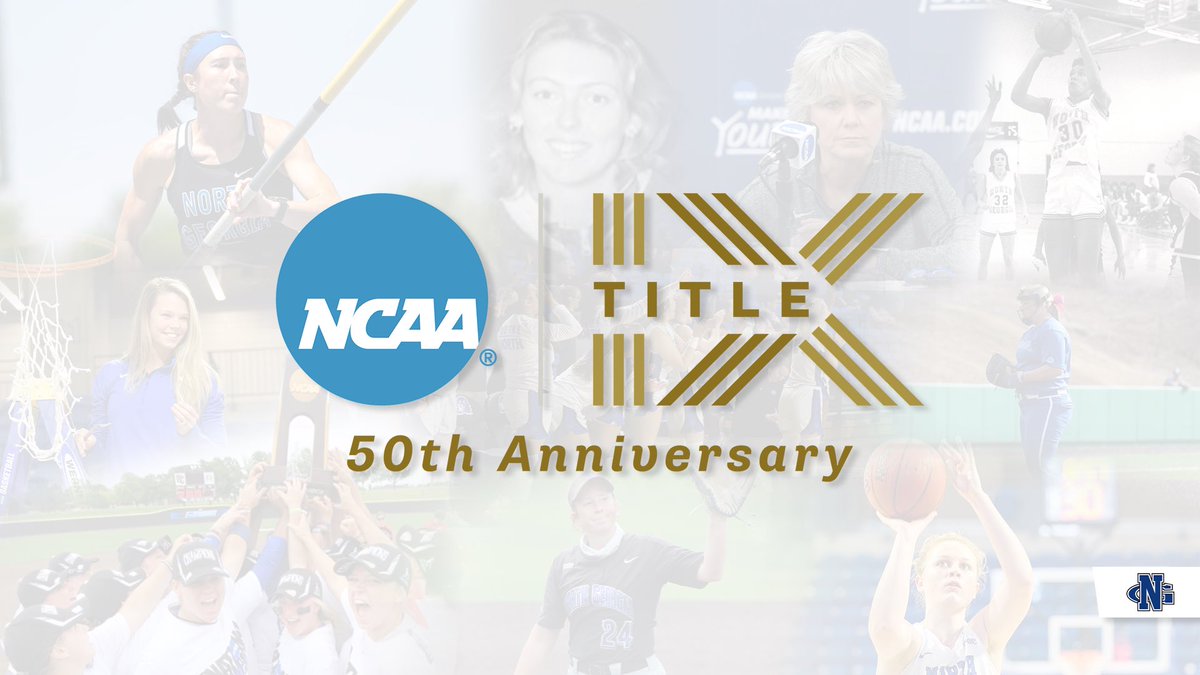 UNG Nighthawks tweet media