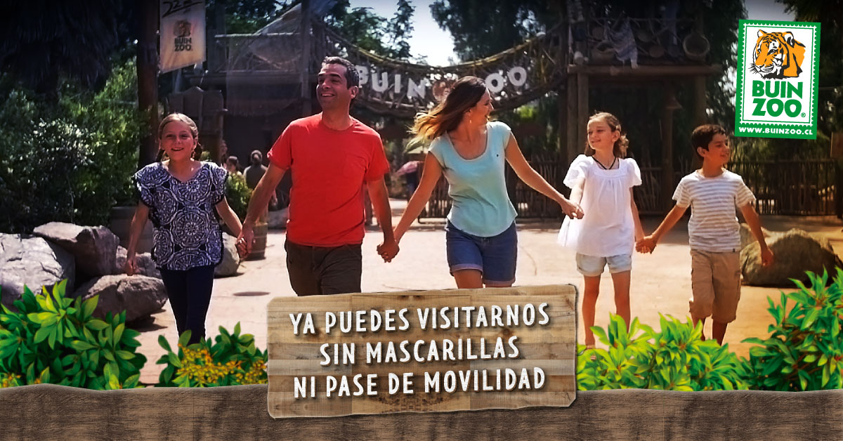 Buin_Zoo's tweet photo. ¡Ahora puedes vivir la mejor aventura en #BuinZoo sin mascarilla y sin pase de movilidad! 🙌🤩

Agenda tu próxima visita en nuestro sitio web: https://t.co/GqCQxFHVAR

#SinMascarilla #TienesQueVivirlo #AventuraFamiliar #AnimalesDelMundo #FinDeSemana https://t.co/jNxDRIet8o