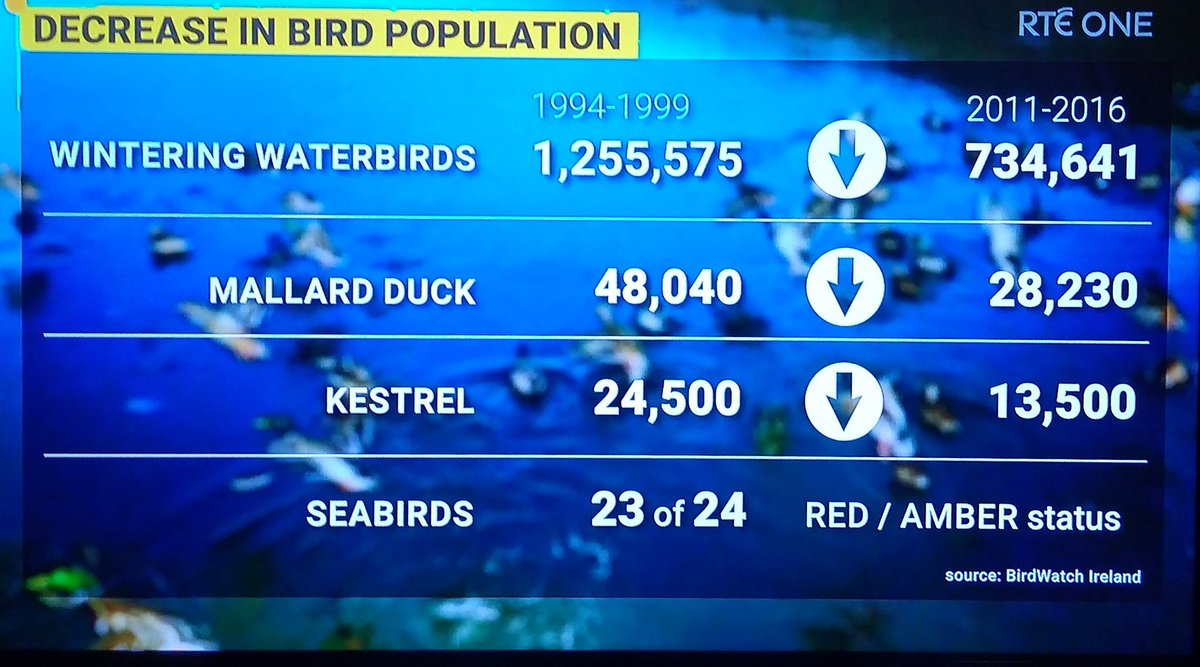 Decrease in bird populations in Ireland. #BiodiversityCrisis #Ireland