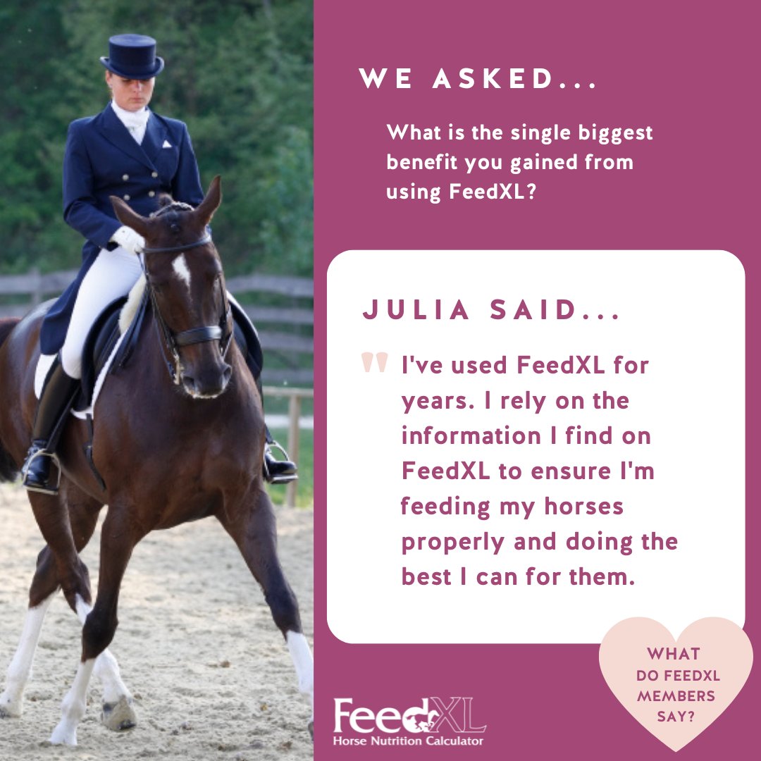 FeedXL's tweet photo. We asked "What is the single biggest benefit you gained from using FeedXL"

Here's what FeedXL member Julia had to say ❤️

We'd love to hear from you too! What has FeedXL helped you with the most? Tell us in the comments! 💬

#feedxl #horsenutrition #horsefeeding https://t.co/HhYIYcblXT