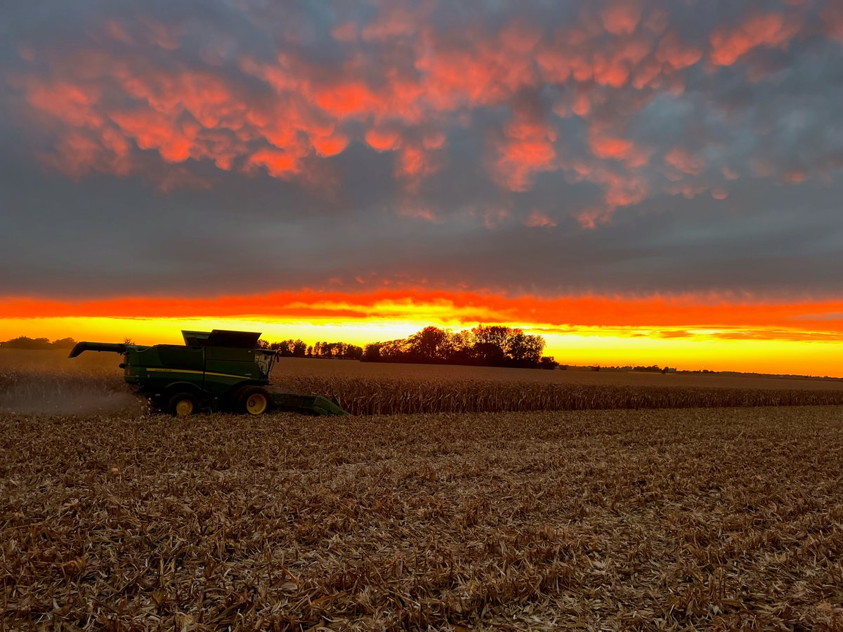 AgWest's tweet photo. What's the best way to learn your numbers? #Farmkid style, writing down Dad's grain cart weights! Vincent Fisher in New Vienna, OH shares with his #PickingPics, corn harvest is 39% complete. Yields are around average to slightly below this year. #AgTwitter #harvest22 https://t.co/mYgEeHUvjl