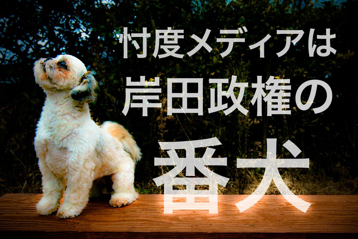 fumiumix's tweet photo. アントニー・ブリンケン国務長官「自由で独立した報道機関は、国民が自らを擁護し、十分な情報を得た上で意思決定を行い、政府関係者に説明責任を負わせるのに必要な情報を国民に提供する中核的な制度である」
日本メディアの多くは政府の広報機関なのか？
#忖度メディアは岸田政権の番犬
 #ツイデモ https://t.co/f3ctMeeon4
