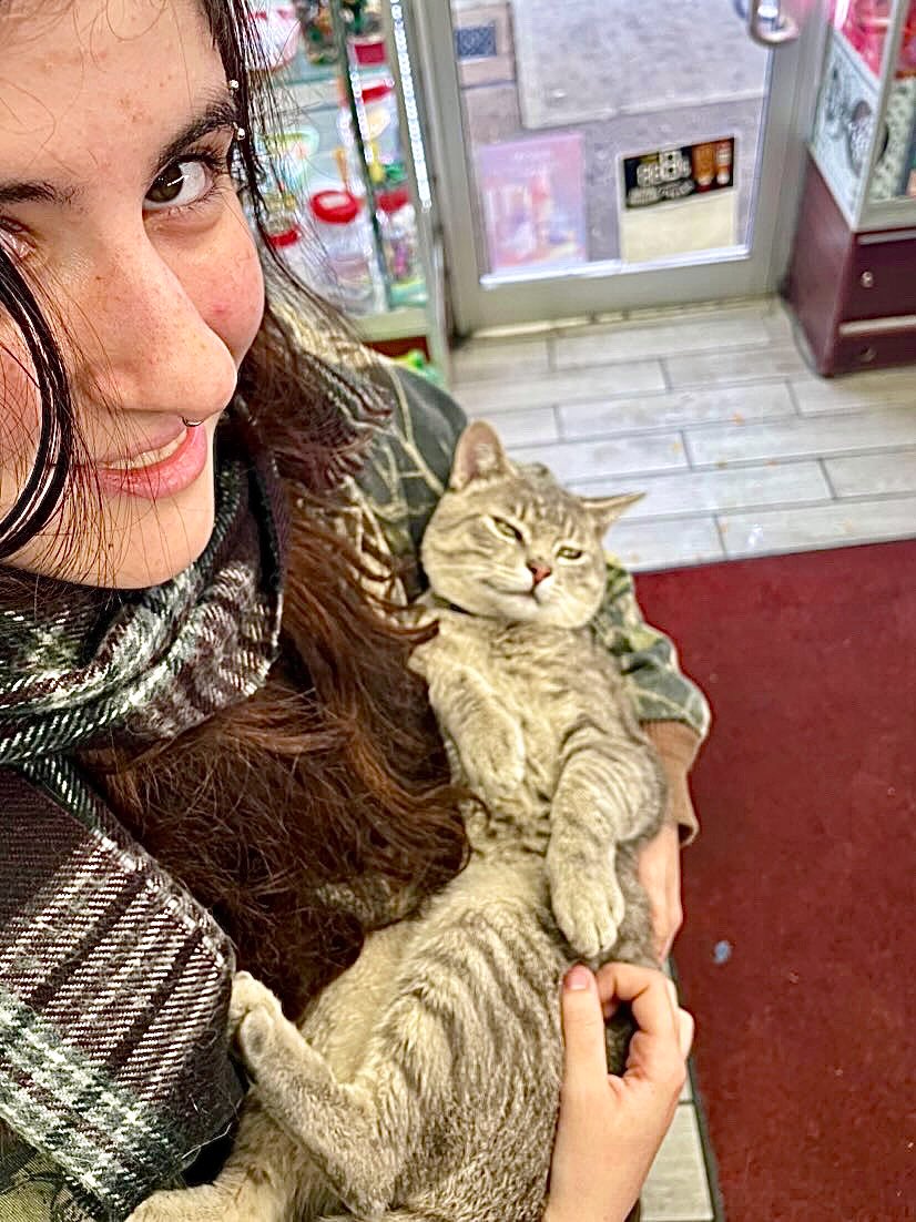 Bodegacats_'s tweet photo. Takes a pet like no problem

📷: [2] @sarahchan224 [3] @CE777ESTIAL https://t.co/oQzKmdN9Ra