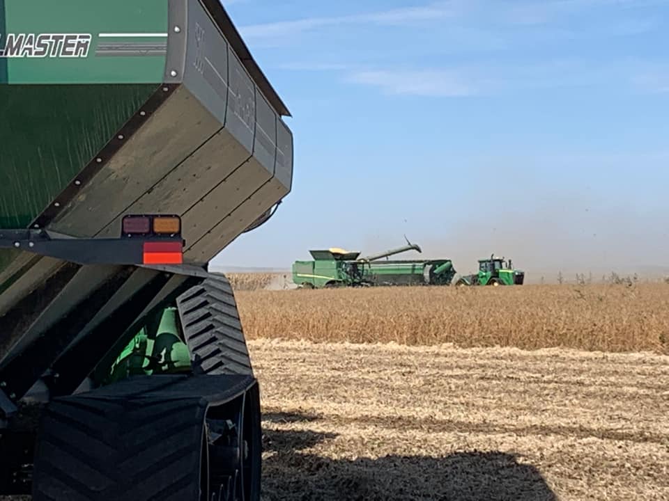 AgWest's tweet photo. A #PickingPic from a customer in Hamburg, Iowa! Thanks Michael Stenzel -- best of luck with the rest of harvest!

SEND US YOUR #PickingPics Today! Use the # and tag us! #AgTwitter #harvest22 https://t.co/U0QdzKm2jJ