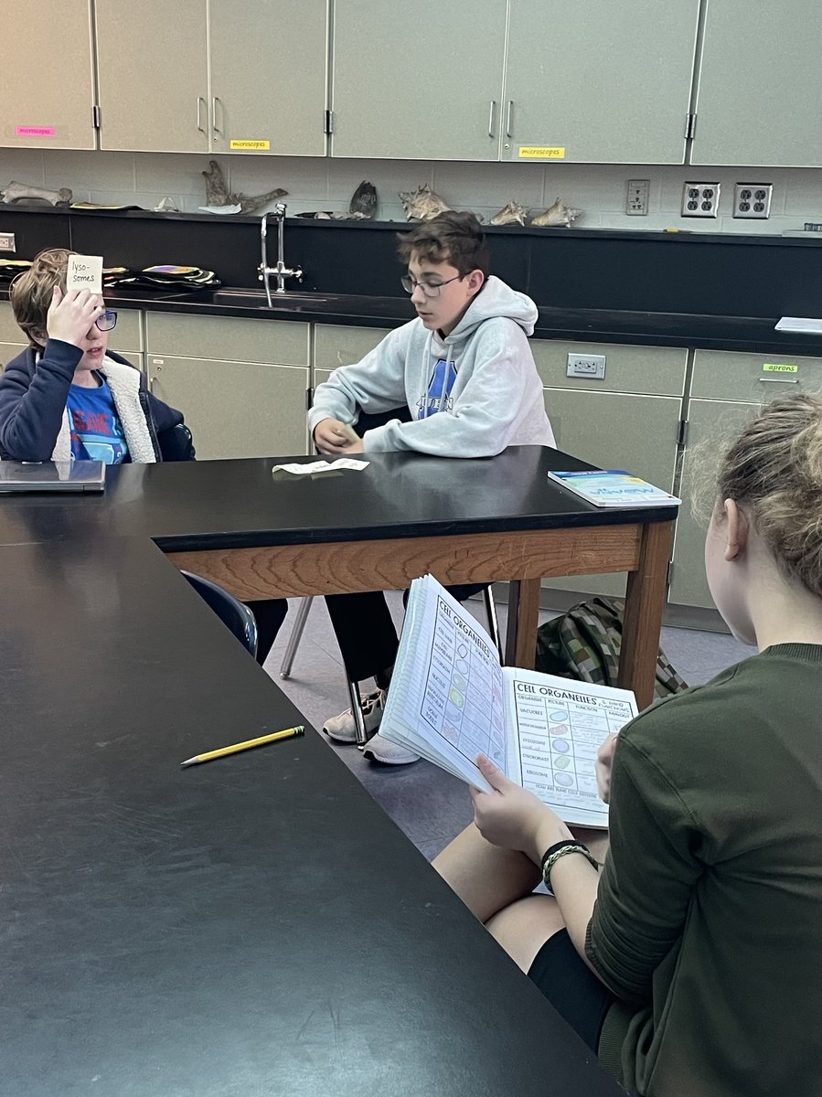 LifeSciHax's tweet photo. Before the last test they reviewed with a board game. Today they reviewed by playing Headbands. Again they were all engaged and having fun and ready! #fcps1science #amswildcats https://t.co/6ZwRmgGTur