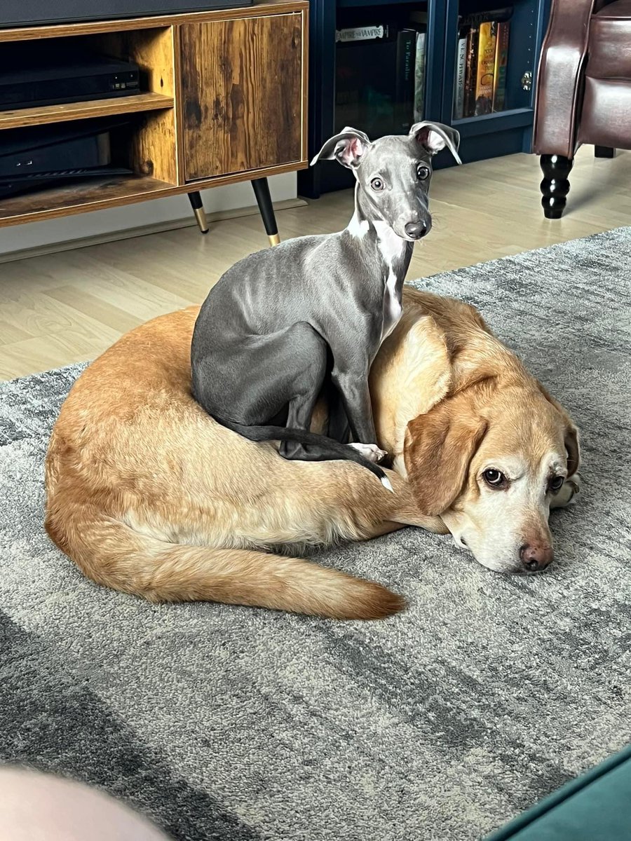 please appreciate this picture of my children, thank u 🥰