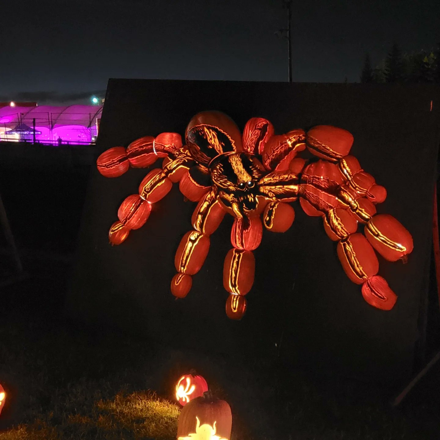 Pumpkin 🎃 season https://t.co/CykGXg2ZHV
