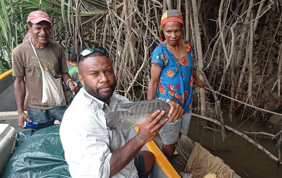 Have you heard of GIFT❓ GIFT stands for Genetically Improved Farmed Tilapia, and in this blog, Joshua Noiney explains why they are a gift for Papua New Guinea! ➡️ bit.ly/3BlCyXg #NextGenAg4D @ACIARAustralia @ANSTO @apogipa @JesSammut @AquacultureUNSW