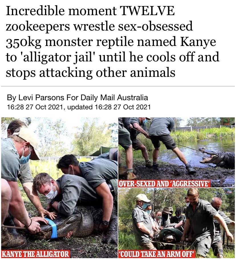 GatorsDaily's tweet photo. kanye human is out

kanye gator is IN https://t.co/D5P1dfZJ55
