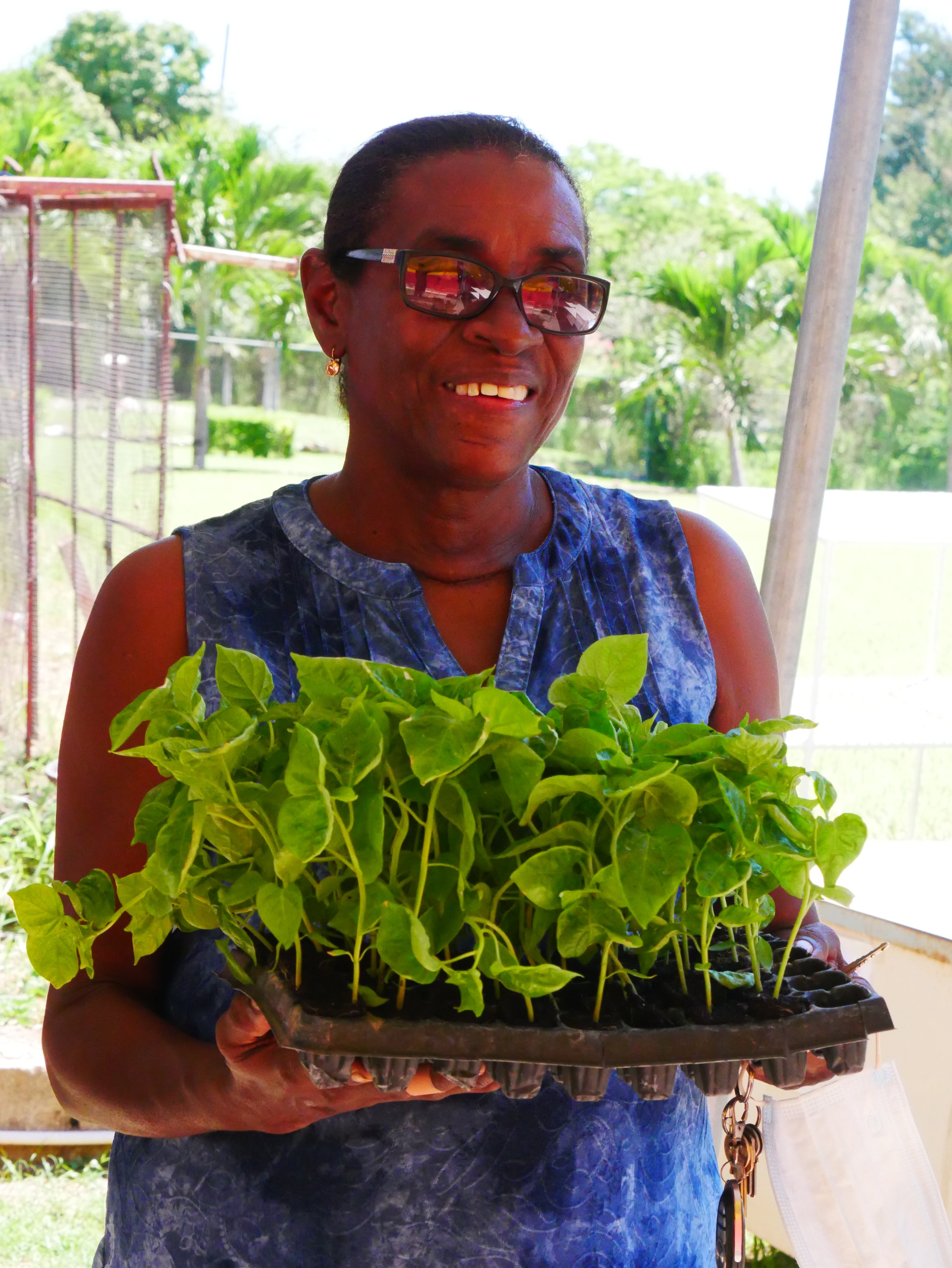 The Jamaica Bauxite Institute (the_jbi) / Twitter