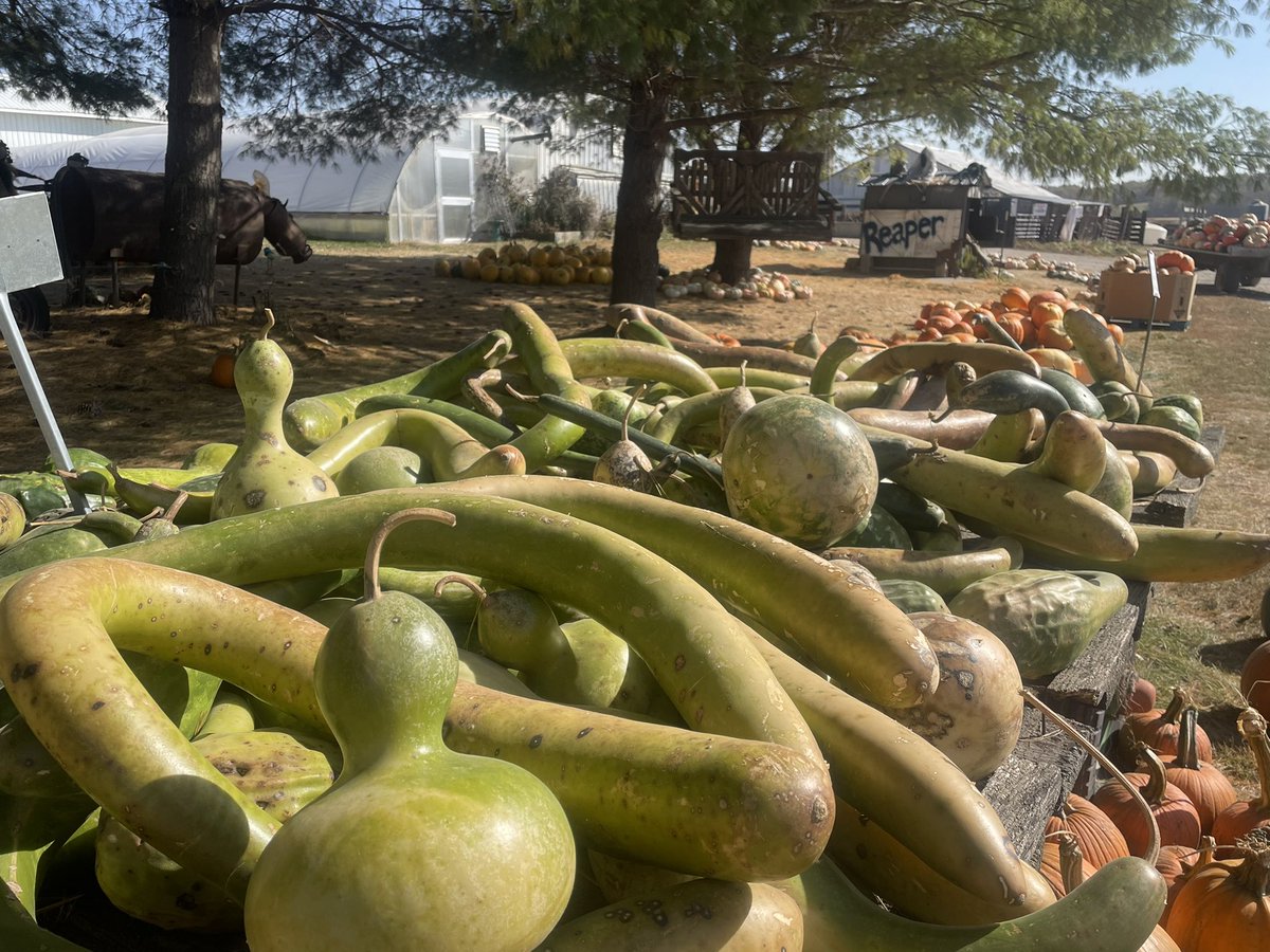Secretary <a href="/MikeNaigIA/">Mike Naig</a> stopped at <a href="/KroulFarms/">Kroul Farms</a> near Mount Vernon today. They grow many crops, including pumpkins, and host thousands during peak season. Agritourism is an important part of Iowa ag and we encourage visits to pumpkin patches, corn mazes, and apple orchards. #IowaAg