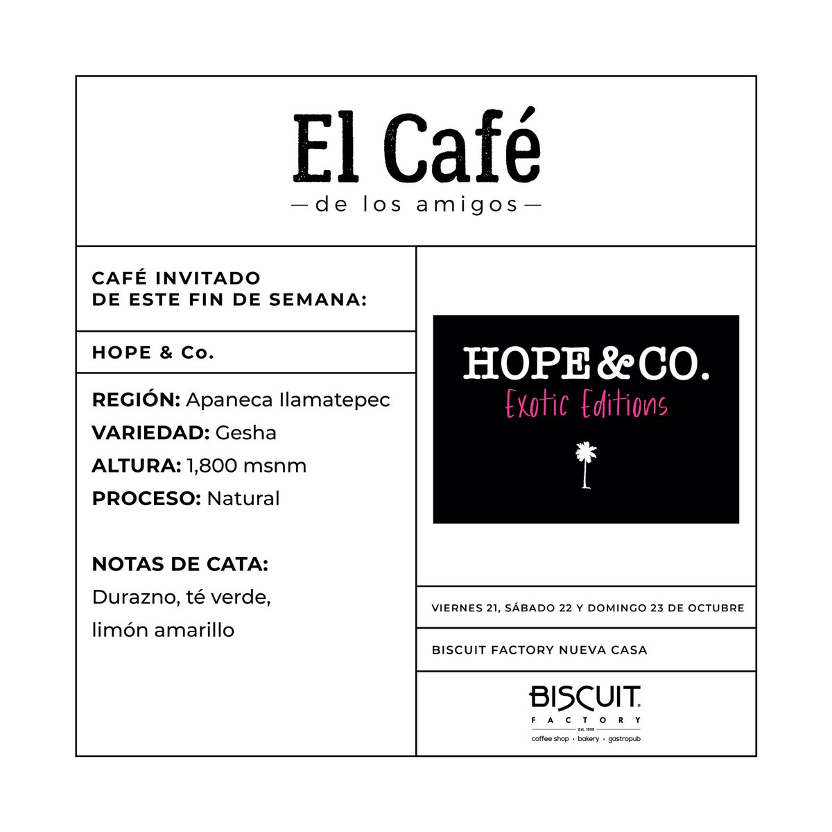 ¡Vuelve #ElCaféDeLosAmigosBF! El proyecto que nos permite servir diferentes cafés de marcas y fincas amigas. En esta ocasión, Hope&Co estrena sus #ExoticEditions con un Gesha natural que tienes que probar. ¡Disponible en tu método favorito!