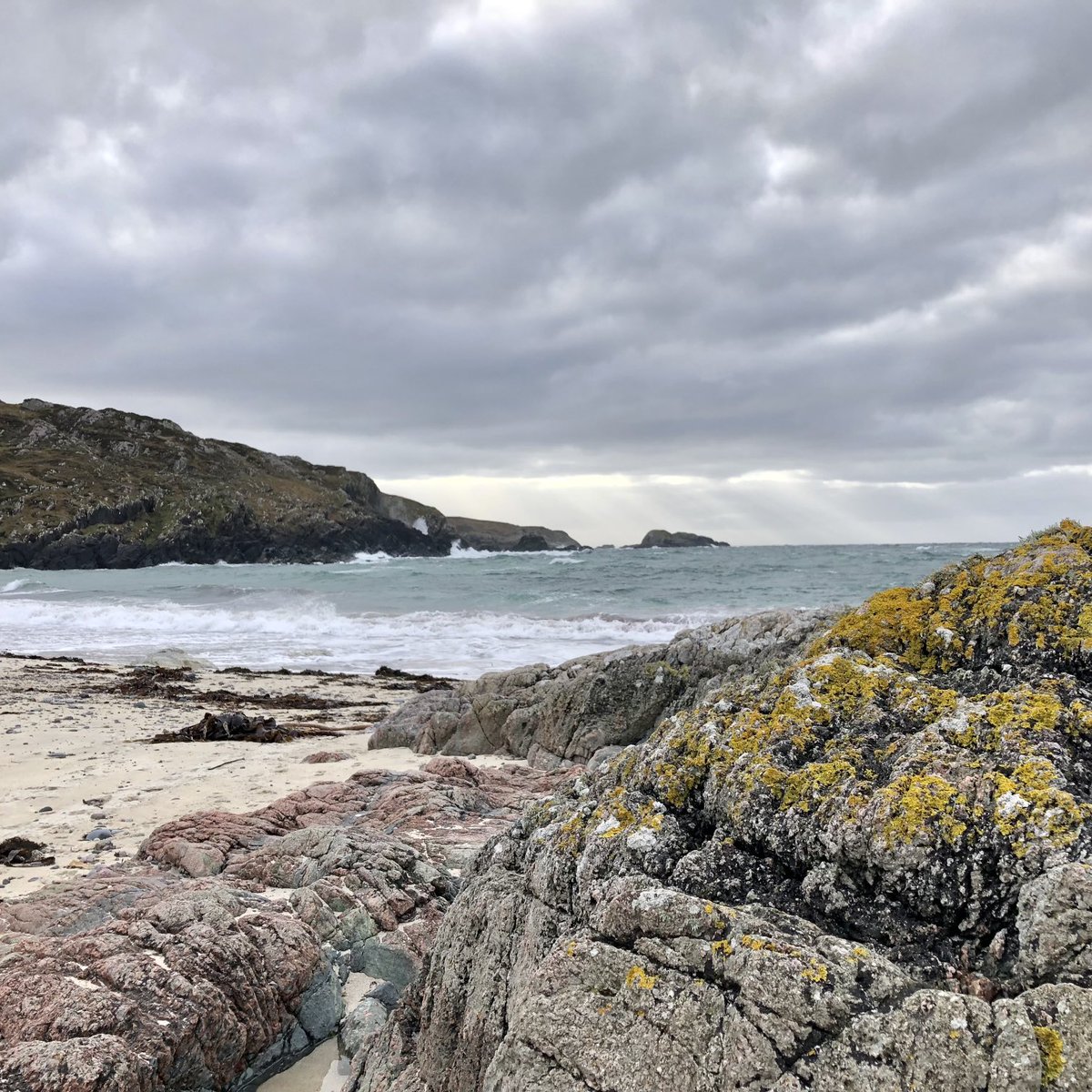 VA Virginia Schenck tweet media