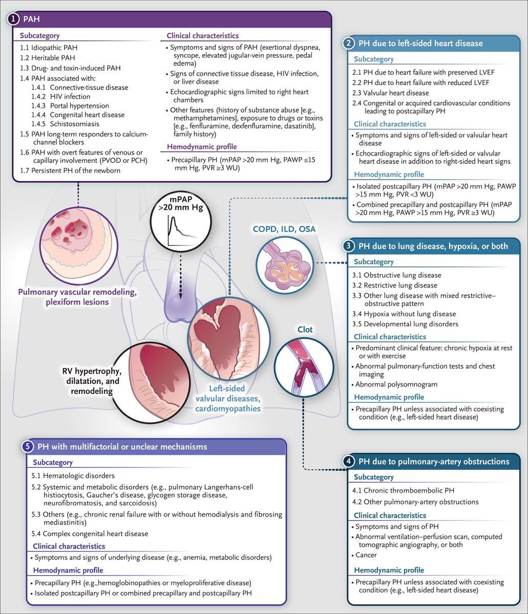 kimche's tweet photo. Overview of pulm HTN with Dr @MylvaganamRuben : excellent review in @NEJM https://t.co/B54zIrXHu3 @midwesthospmed #MHM22 https://t.co/jCbkdgfgOS
