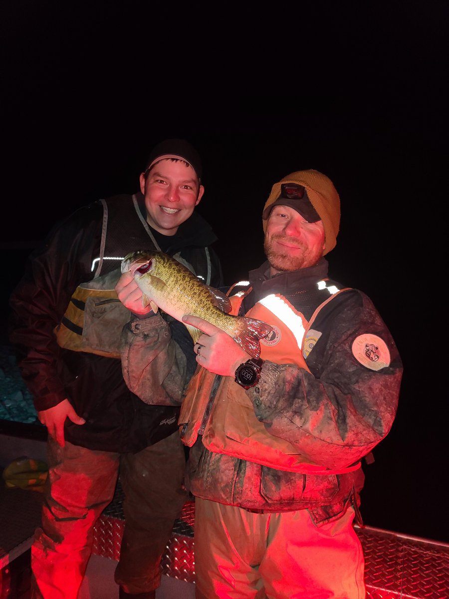 NMDGF's tweet photo. @NMDGF employees electroshock surveyed Bill Evans Lake and turned up some nice fish. #wildnm #billevanslake #fishnm #wildlifesurveys https://t.co/5kzKT5s25B