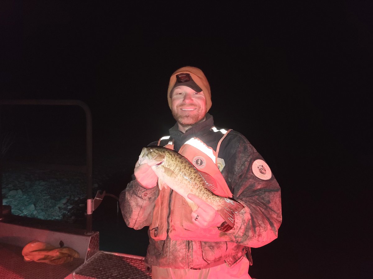 NMDGF's tweet photo. @NMDGF employees electroshock surveyed Bill Evans Lake and turned up some nice fish. #wildnm #billevanslake #fishnm #wildlifesurveys https://t.co/5kzKT5s25B