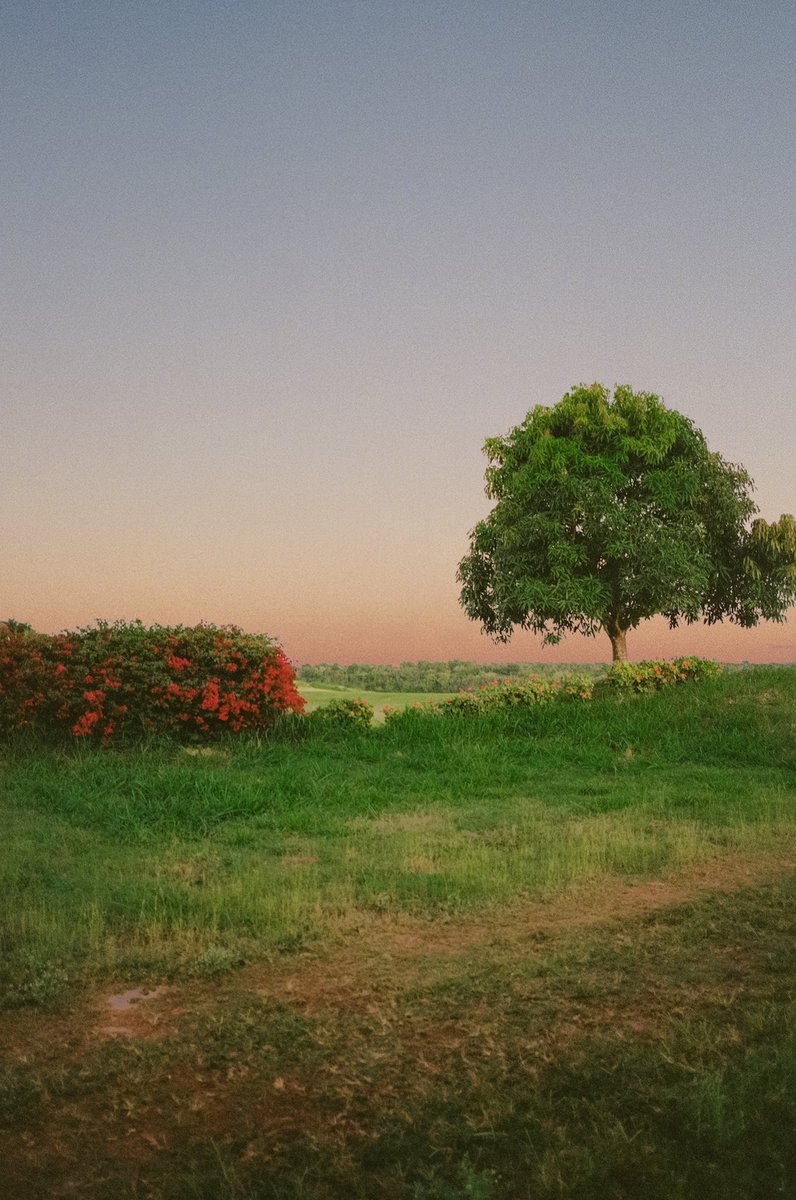 AlexKittoe's tweet image. The camera       🤝      The photos