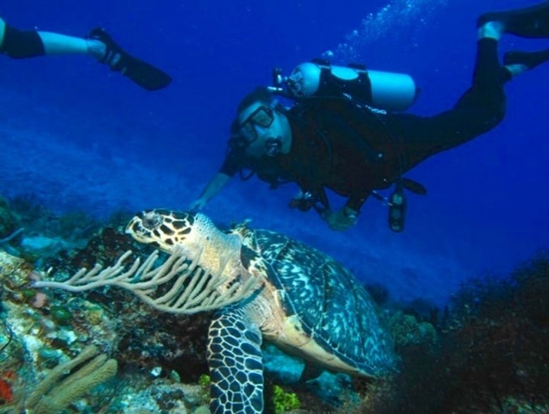 Our leader <a href="/MillsGallivan/">Mills Gallivan</a> has always been willing to dive into a case and help you survive swimming with the sharks! Your case is not just a number! #FearlessLeader #SCWC #WorkersComp #TeamMemberThursday #NCWC